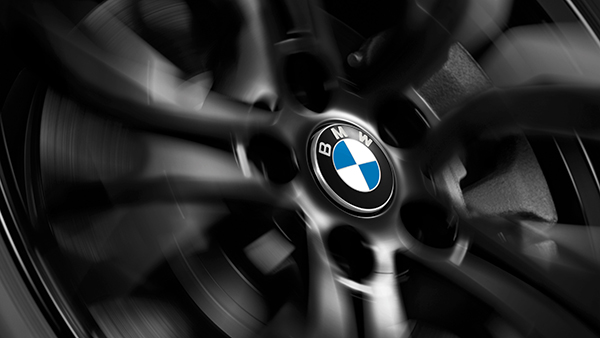 Bmw x5 online center caps