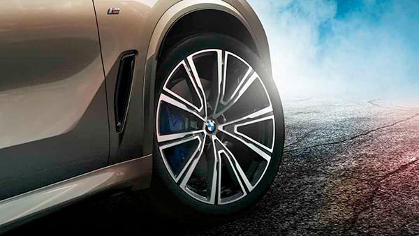 BMW x5 g05 r22