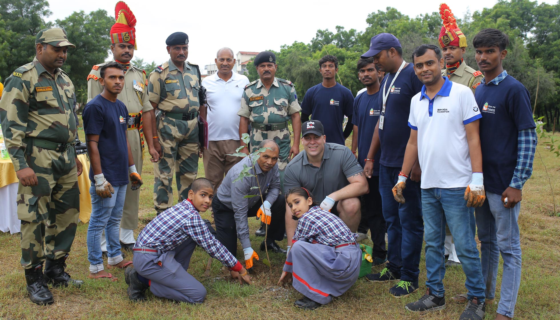 Tree Plantation