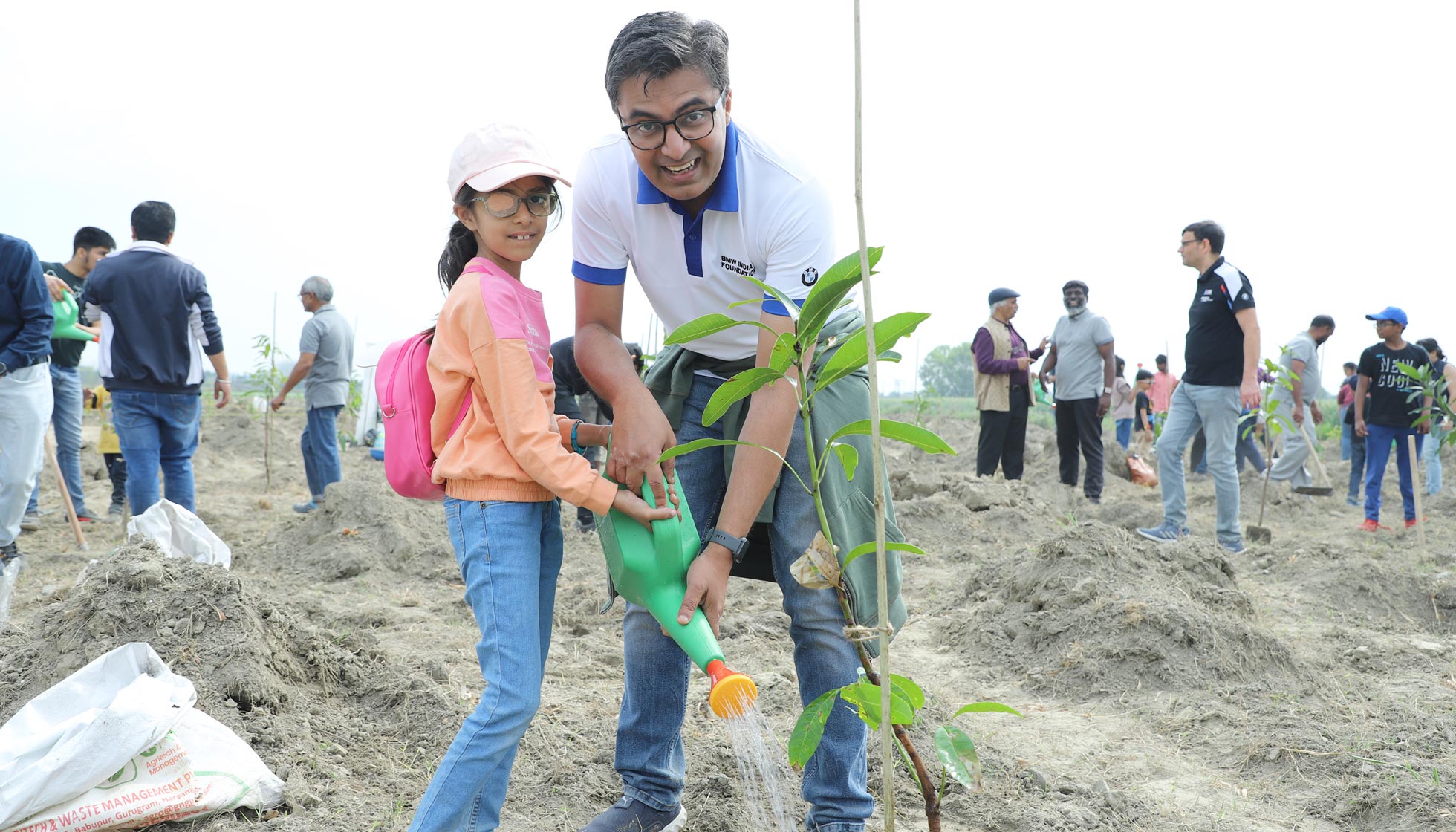 Tree Plantation