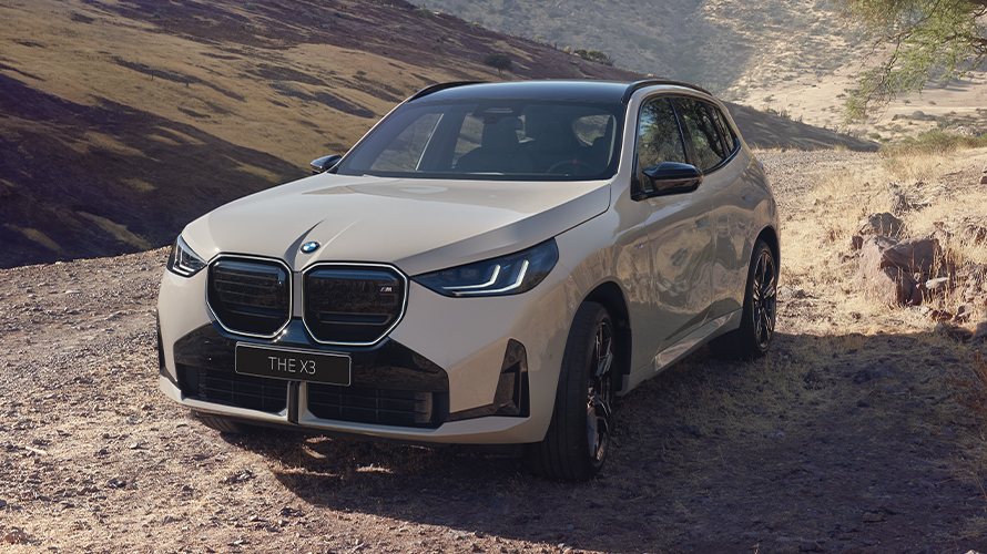 The BMW X3